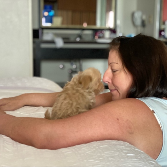 PRINCESS RAYNNE 💗💗💗 - Picture 8 of 17